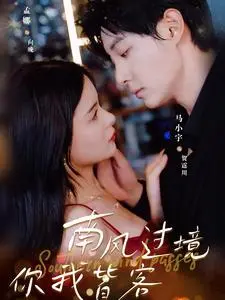 南风过境你我皆客：命运的交织与人生的无常旅程，探索爱情与自我救赎的深刻故事